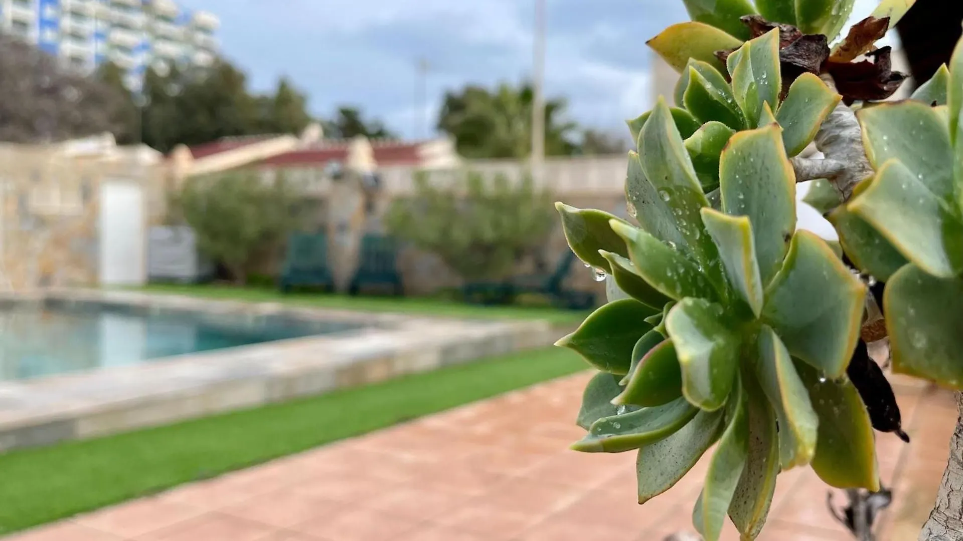 Villa In Roquetas With Garden And Private Pool Roquetas de Mar